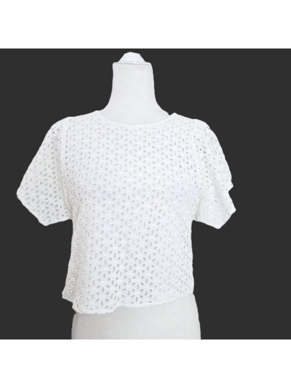 She + Sky  White Eyeley Lace Boho Flutter Sleeve Crop Length Top Women Size S